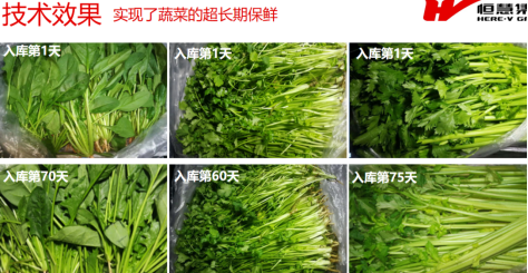 果蔬肉食儲藏解決方案(圖2)